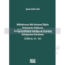 Milletlerarası Mal Satımına İlişkin Sözleşmeler Hakkında Birleşmiş Milletler Antlaşması Uyarınca Sözleşmenin Kurulması (CISG m. 14-24) | İpek Sağlam