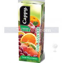 Cappy Karışık Meyve Nektarı | 200 lt