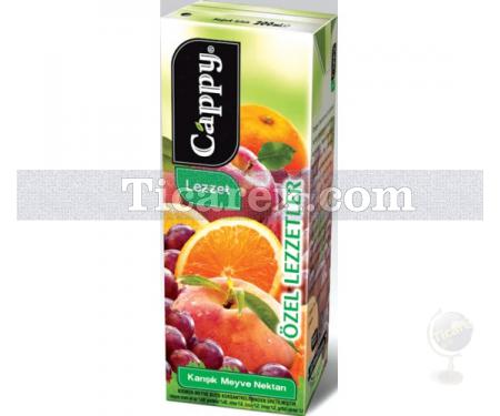 Cappy Karışık Meyve Nektarı | 200 lt - Resim 1