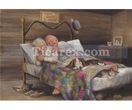 Ev Gibisi Yok Yapboz - 500 Parça Puzzle | 48x34 cm - Resim 1