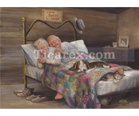 Ev Gibisi Yok Yapboz - 1000 Parça Puzzle | 68x48 cm - Resim 1
