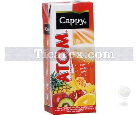 Cappy Atom Ballı, Karışık Meyve Nektarı | 200 ml - Resim 1