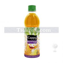 Cappy Meyve Tanem Karışık | 330 ml
