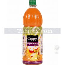 Cappy Meyve Tanem Karışık | 1 lt