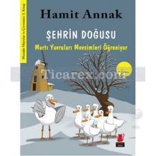 Şehrin Doğusu | Meraklı Martılar ve Çevremiz 3 | Hamit Annak