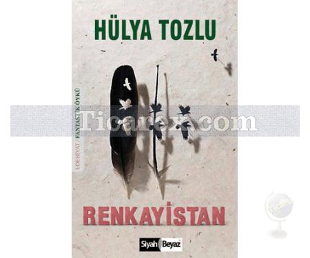 Renkayistan | Hülya Tozlu - Resim 1