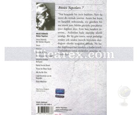 Narla İncire Gazel | Bilge Karasu - Resim 2