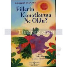 fillerin_kanatlarina_ne_oldu