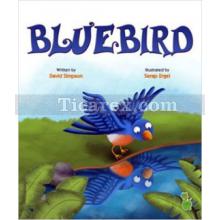 Blue Bird | David Simpson