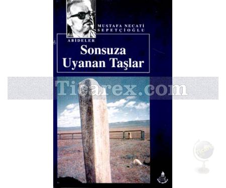 Sonsuza Uyanan Taşlar | Mustafa Necati Sepetçioğlu - Resim 1