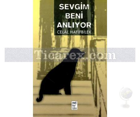 Sevgim Beni Anlıyor | Celal Hafifbilek - Resim 1