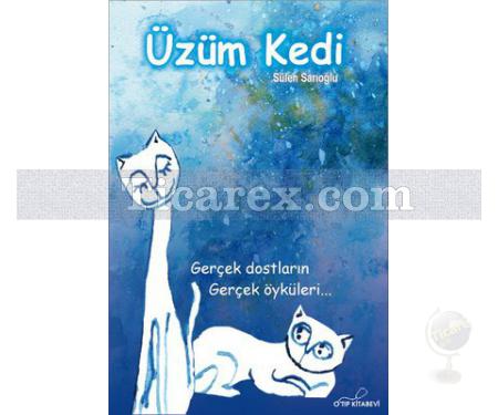 Üzüm Kedi | Sülen Sarıoğlu - Resim 1