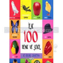 ilk_100_renk_ve_sekil