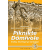 Piknikte Dömivole | Erdinç Sivritepe'ye Armağan | Barış Karacasu, Şener Yelkenci