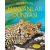 Hayvanlar Dünyası | Laura Howell, Kirsteen Rogers, Corinne Henderson