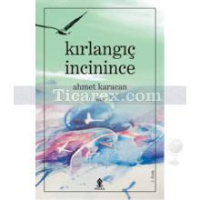 kirlangic_incinince