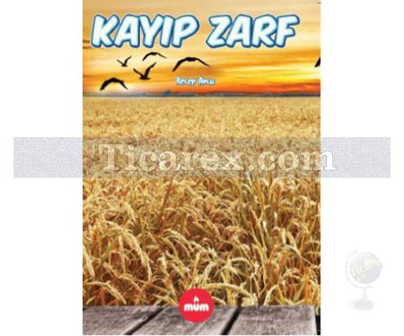 Kayıp Zarf | Recep Avcu - Resim 1