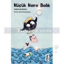 kucuk_kara_balik