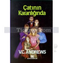 catinin_karanliginda