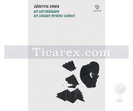 Bir Kaplumbağanın Bir Sincabın Boynunu Isırması | Süreyyya Evren - Resim 1