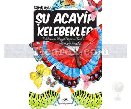 Şu Acayip Kelebekler | Tarık Uslu - Resim 1