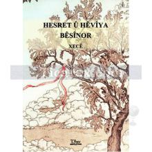 Hasret Ü Heviya Besinor | Hatice Kılıç