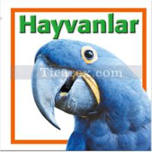 hayvanlar