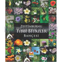 Zeytinburnu Tıbbi Bitkiler Bahçesi | Kerim Alpınar