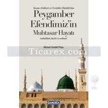 Peygamber Efendimiz'in Muhtasar Hayatı | Ahmed Cevdet Paşa