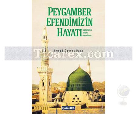Peygamber Efendimiz'in Hayatı | Ahmed Cevdet Paşa - Resim 1