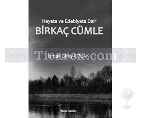 Hayata ve Edebiyata Dair Birkaç Cümle | İsmail Giray Çolak - Resim 1