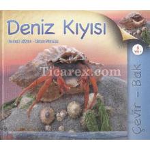 Deniz Kıyısı | ( Ciltli ) | Hannah Wilson