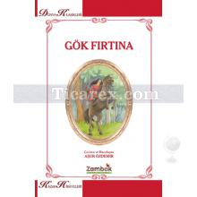 gok_firtina